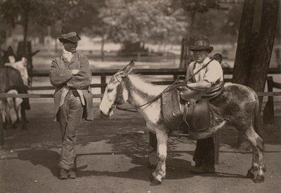 Donkey Rides on Clapham Common by English Photographer